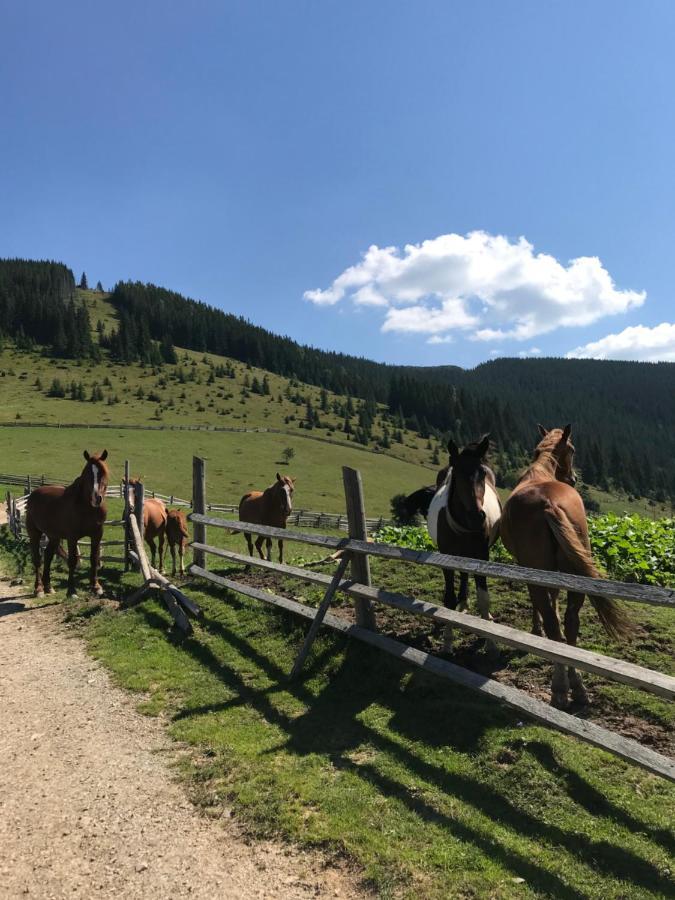 Вілла Софі Verkhovyna Εξωτερικό φωτογραφία