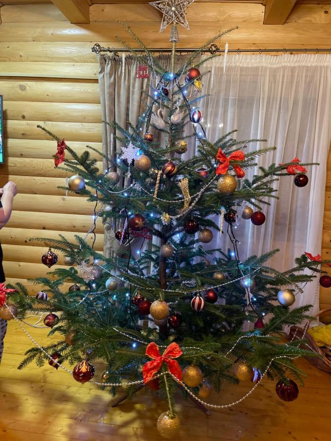 Вілла Софі Verkhovyna Εξωτερικό φωτογραφία