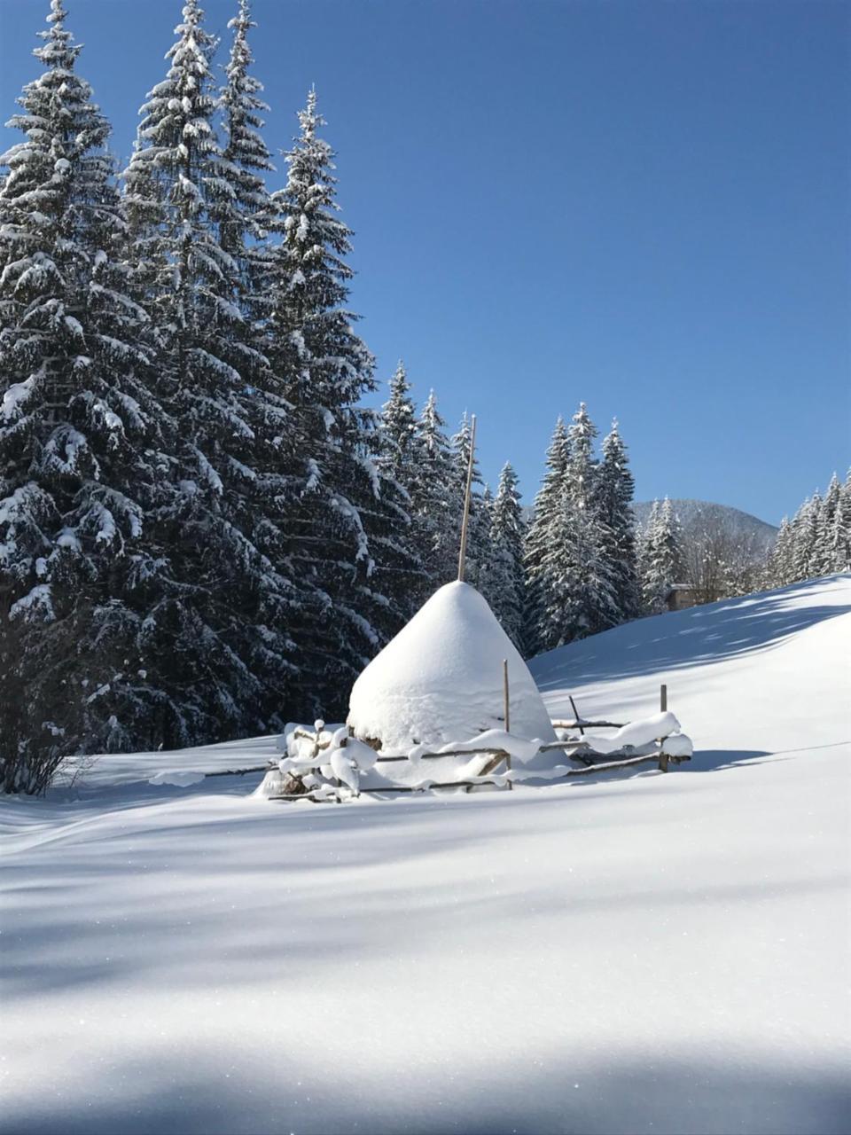 Вілла Софі Verkhovyna Εξωτερικό φωτογραφία